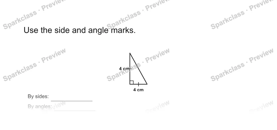 Use the side and angle marks. — Grade 5 problem preview