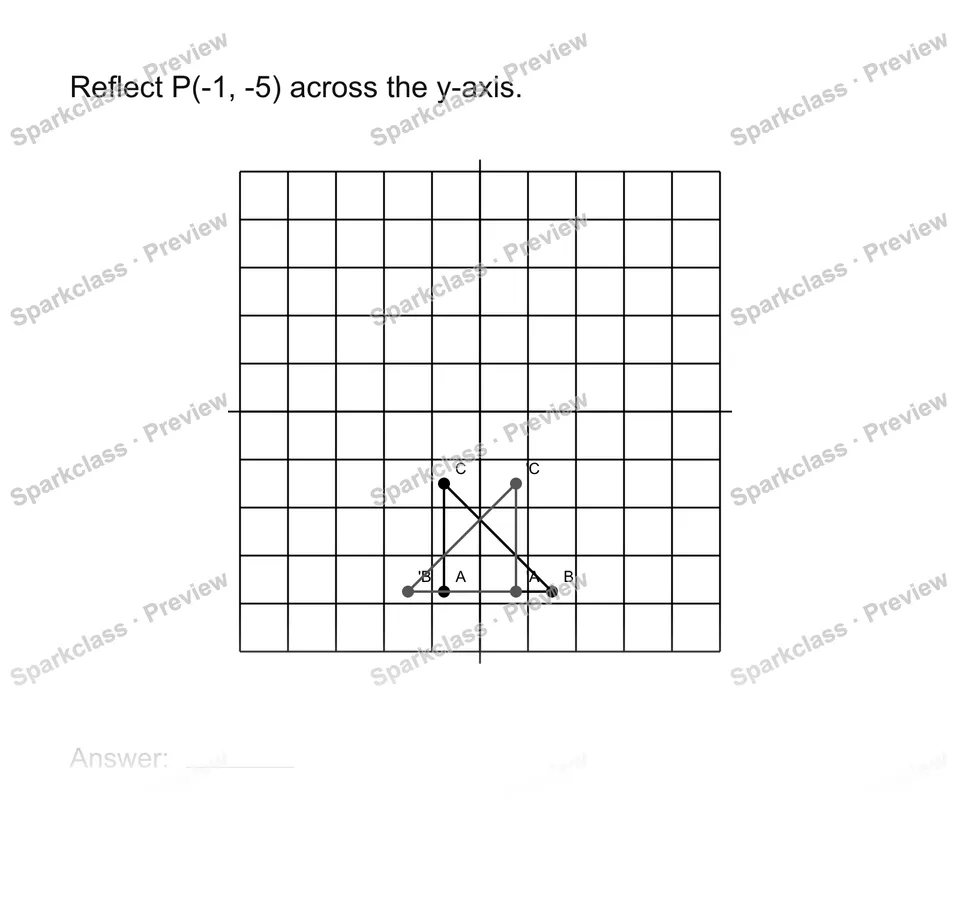 Reflect points — Grade 8 problem preview