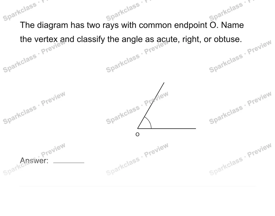 Identify lines, rays, segments and angles — Grade 4 problem preview