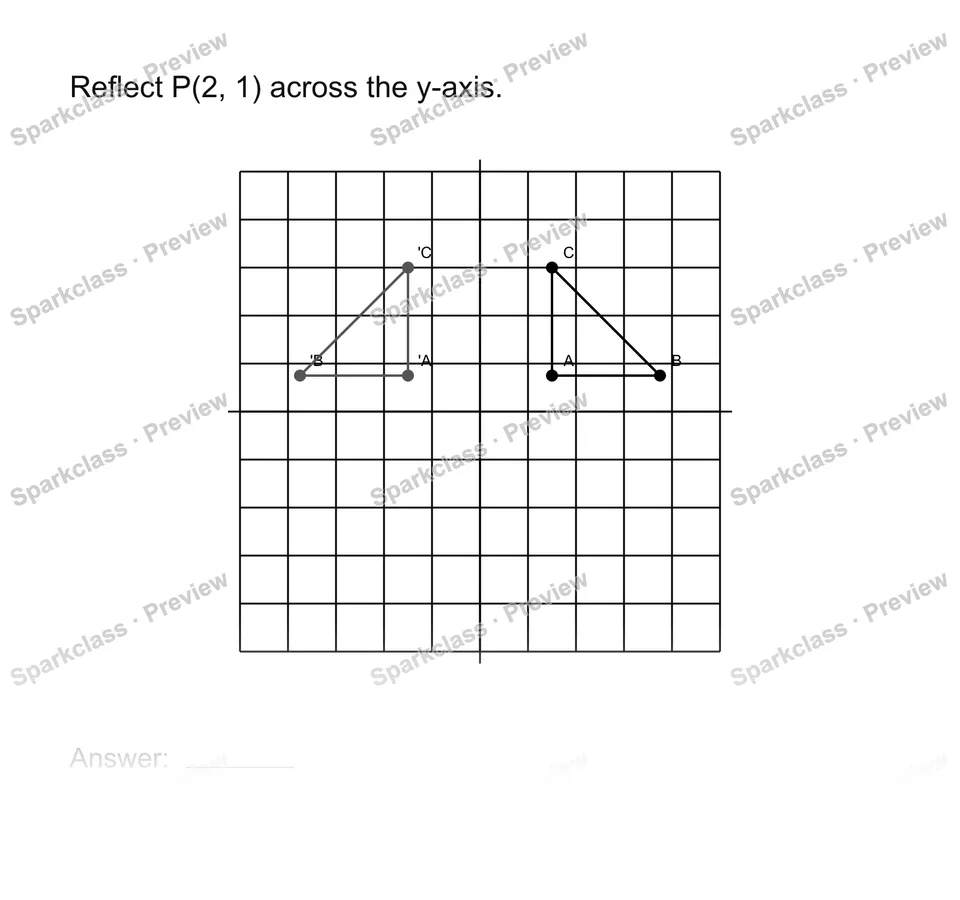 Reflect points — Grade 8 problem preview