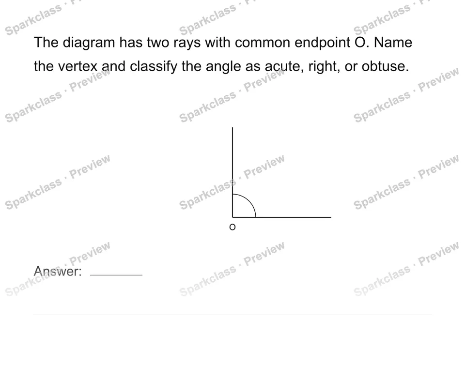 Identify lines, rays, segments and angles — Grade 4 problem preview