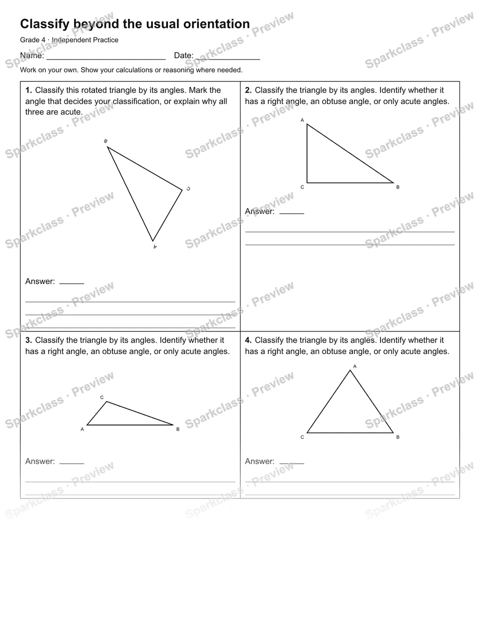 Classify beyond the usual orientation — Independent Practice — Grade 4 worksheet preview